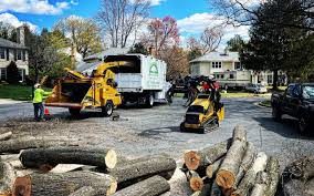 Leaf Removal in Clifton Gardens, NY